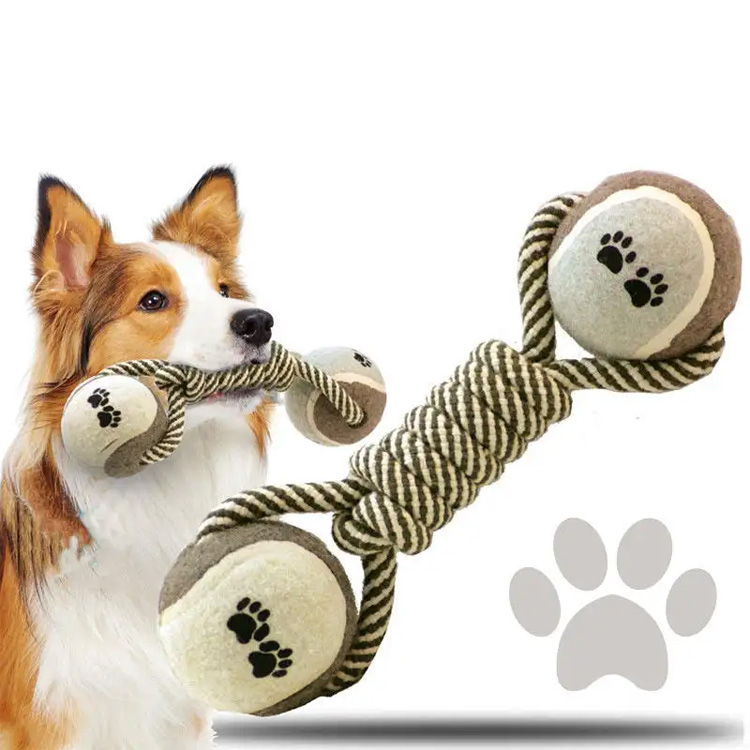 Er hunde tygger sunde for hunde?
