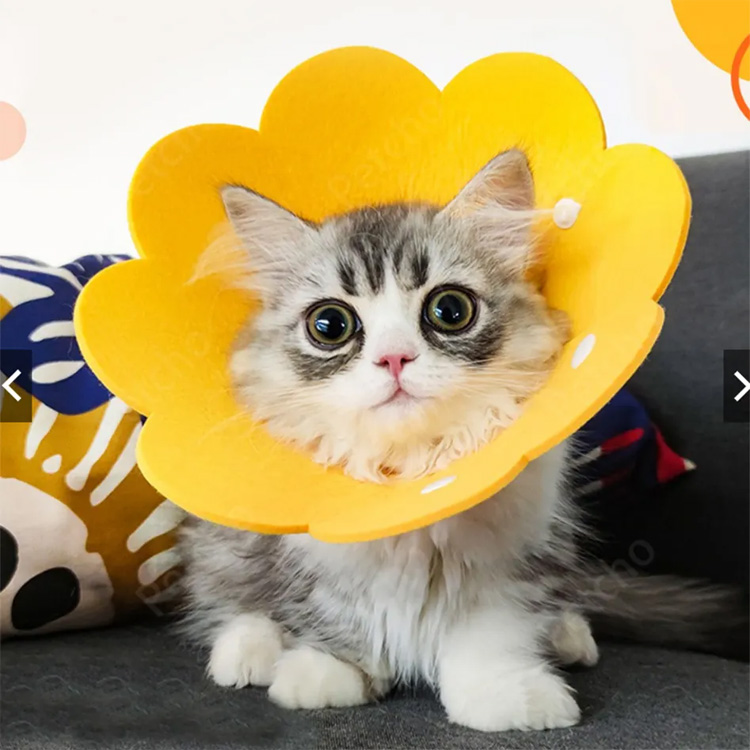 Pet Cone Elizabeth følte beskyttende genopretning Hund Cat Collar
